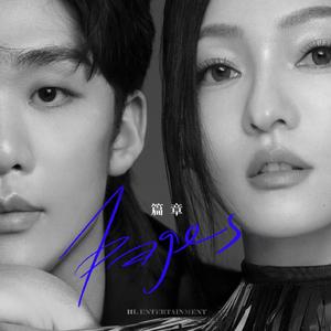 张柏芝荫荫毛泬HD
