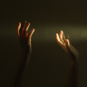 张柏芝荫荫毛泬HD
