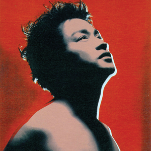 张柏芝荫荫毛泬HD
