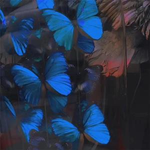 张柏芝荫荫毛泬HD
