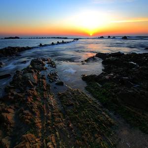 张柏芝荫荫毛泬HD
