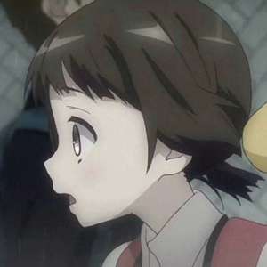 张柏芝荫荫毛泬HD
