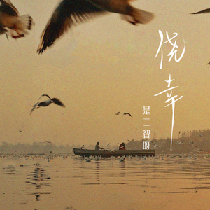 张柏芝荫荫毛泬HD
