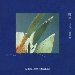 张柏芝荫荫毛泬HD
