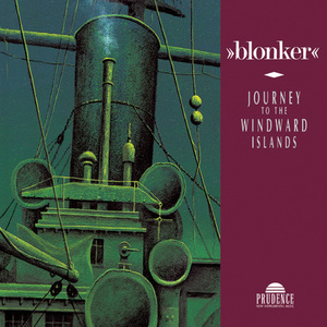 张柏芝荫荫毛泬HD
