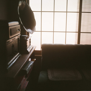 张柏芝荫荫毛泬HD
