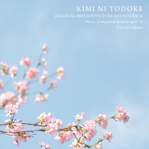 张柏芝荫荫毛泬HD
