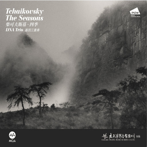 张柏芝荫荫毛泬HD
