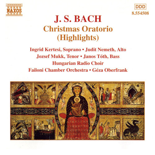 张柏芝荫荫毛泬HD
