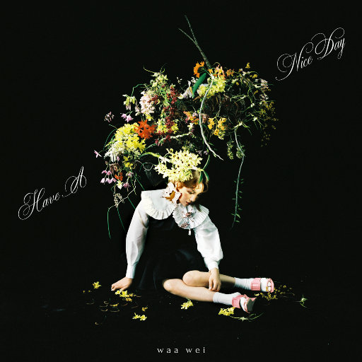 张柏芝荫荫毛泬HD
